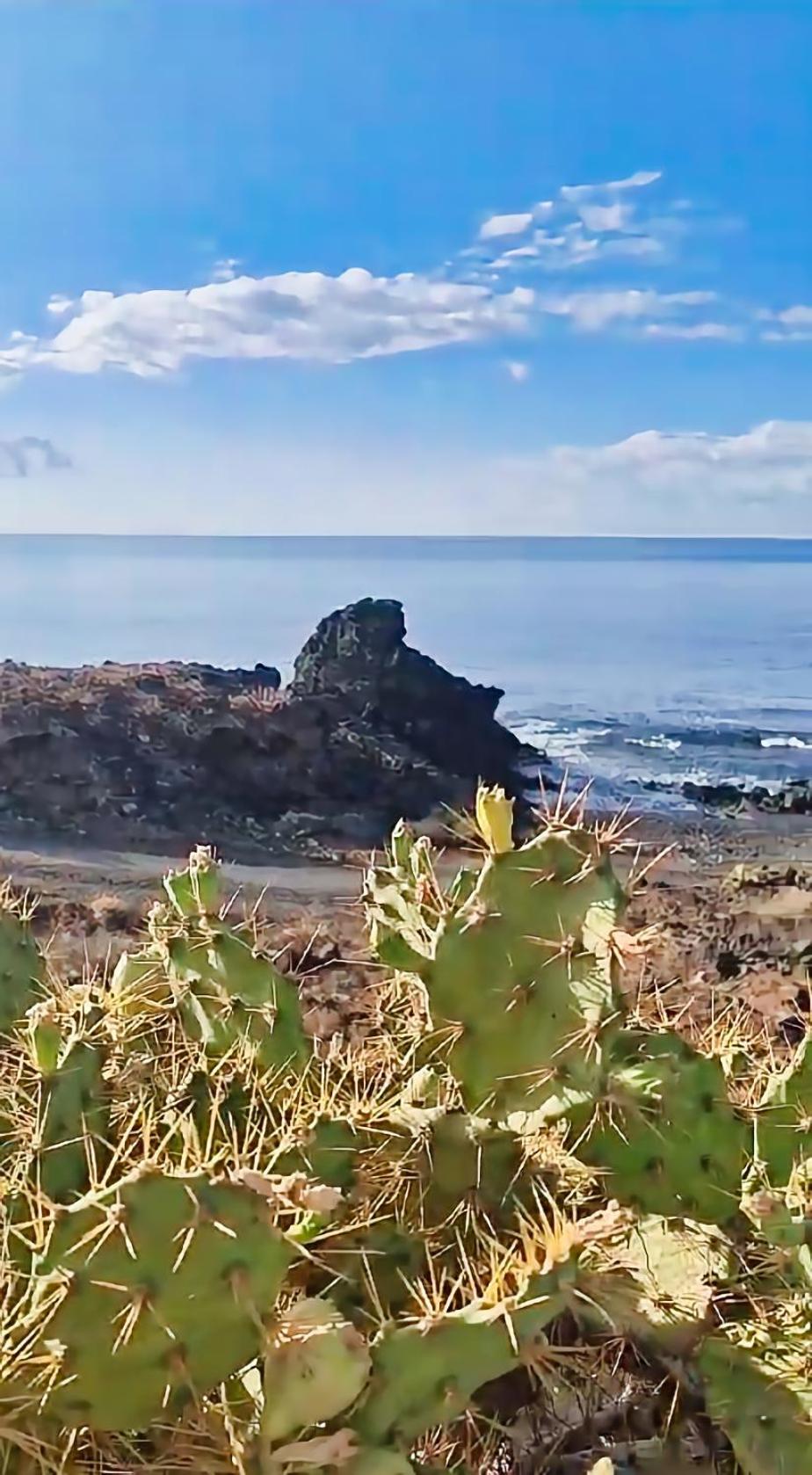 Casa Palmu Apartment - A Peaceful And Relaxing Oasis In Golf Del Sur, Tenerife San Miguel de Abona Bagian luar foto