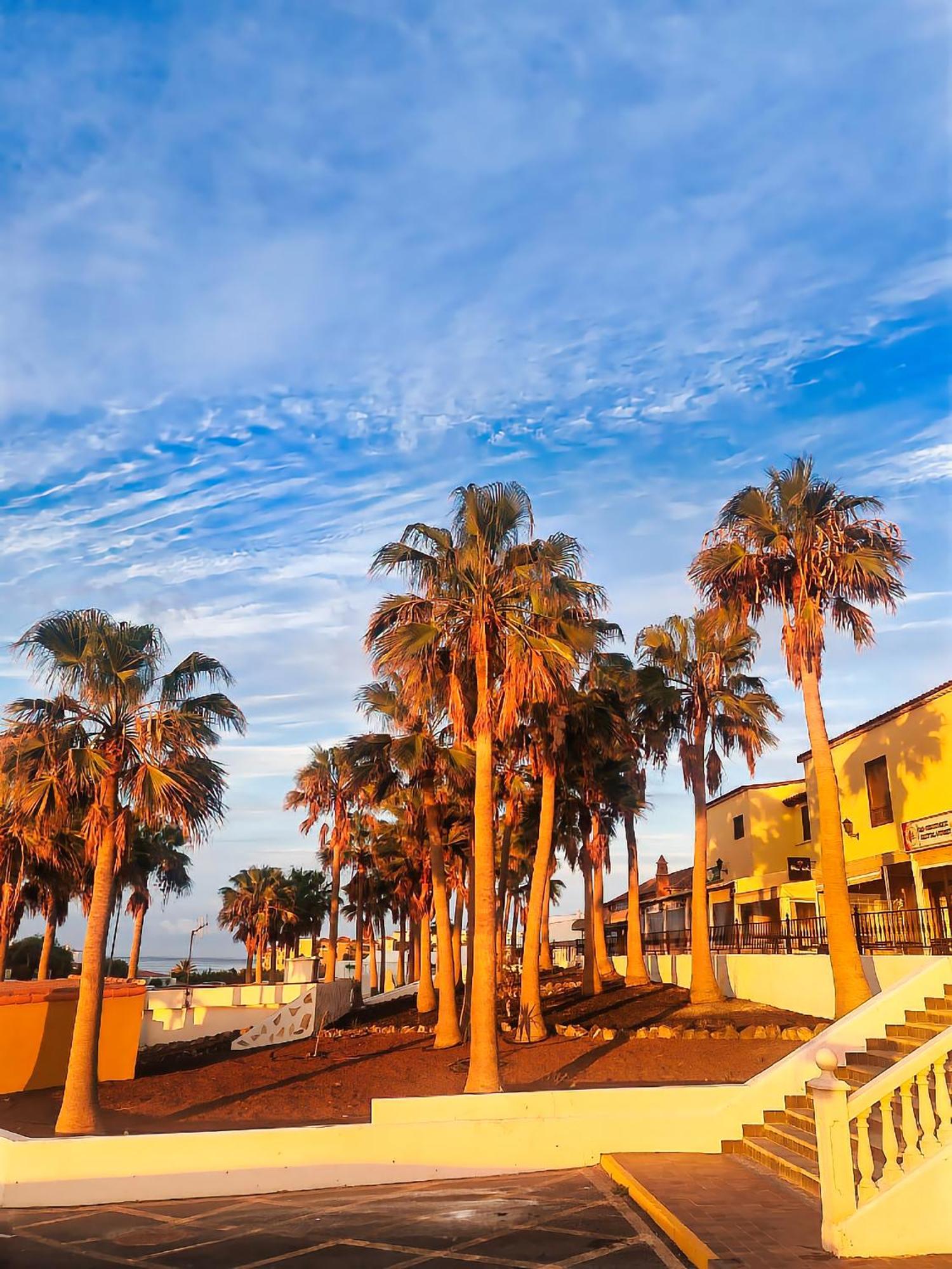 Casa Palmu Apartment - A Peaceful And Relaxing Oasis In Golf Del Sur, Tenerife San Miguel de Abona Bagian luar foto