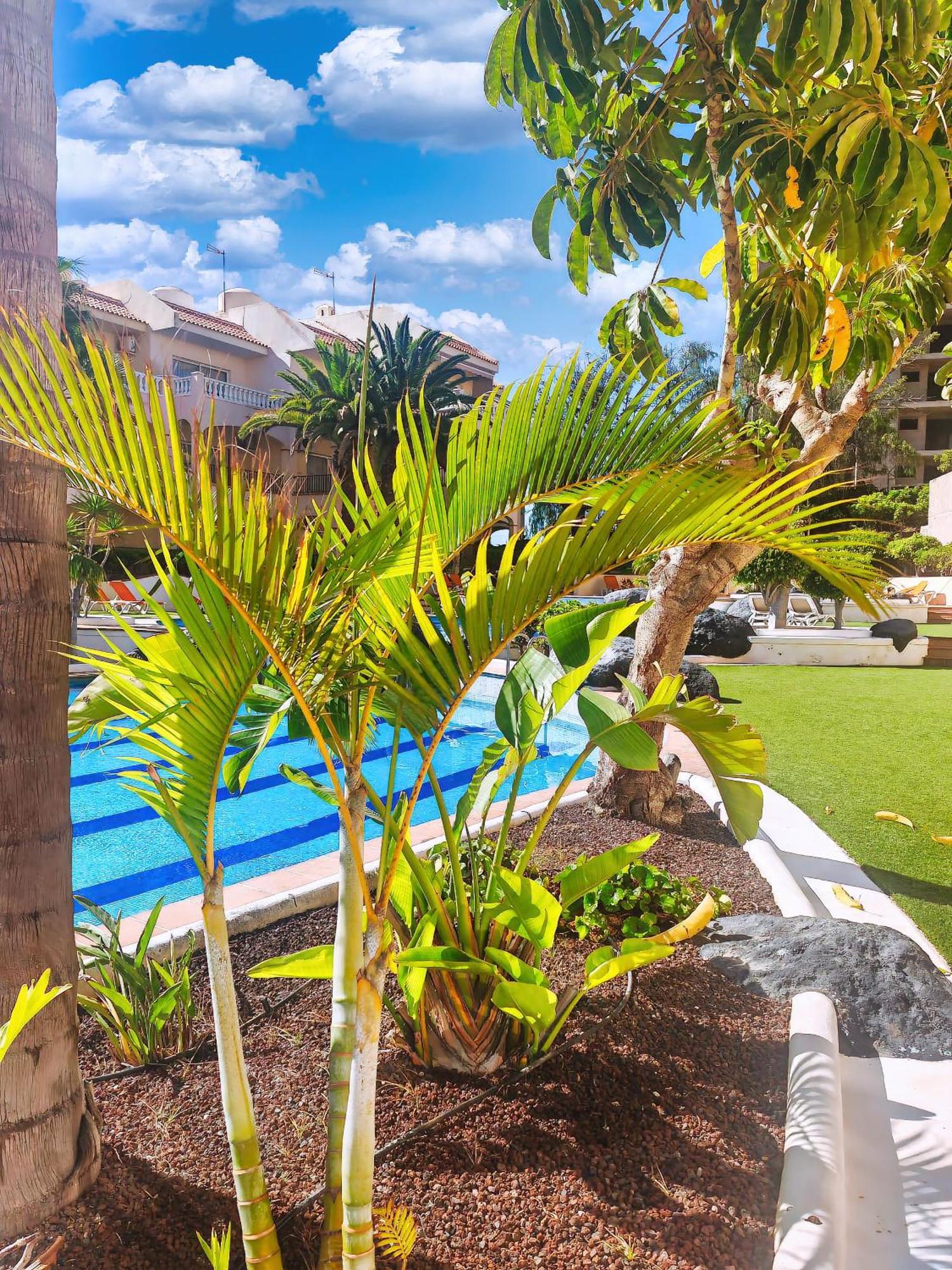 Casa Palmu Apartment - A Peaceful And Relaxing Oasis In Golf Del Sur, Tenerife San Miguel de Abona Bagian luar foto